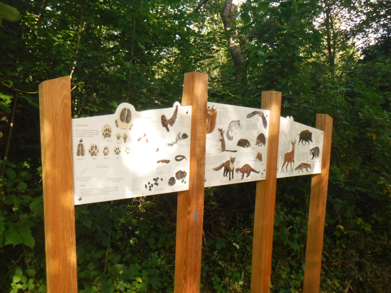 Panneaux présentant des mammifères du parcours des Enrichards.